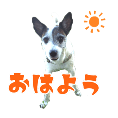 [LINEスタンプ] ダンディ文化君の毎日