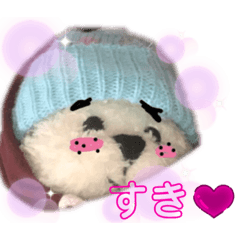 [LINEスタンプ] くまたんの日常 "冬"
