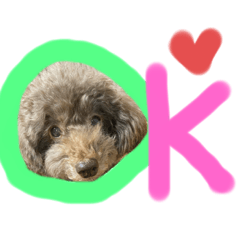 [LINEスタンプ] 日常ドンコ