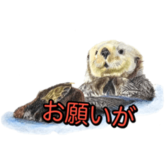 [LINEスタンプ] 動物画スタンプ