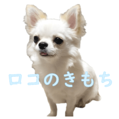 [LINEスタンプ] ロコのきもち