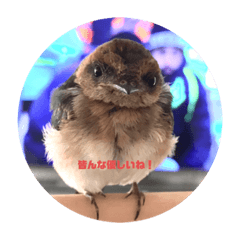 [LINEスタンプ] 生活の愛