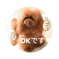 [LINEスタンプ] まったりこはる