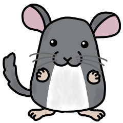 [LINEスタンプ] チンチラはネズミ。の画像（メイン）