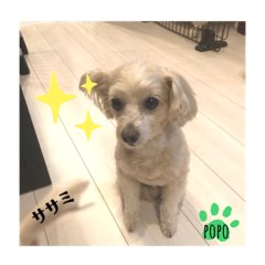 [LINEスタンプ] LEE POPO2