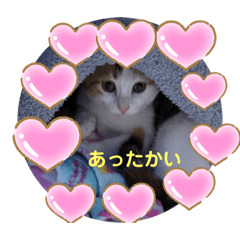 [LINEスタンプ] あったまるスタンプ