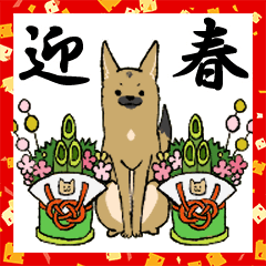 [LINEスタンプ] クロハナの年末年始セット2020