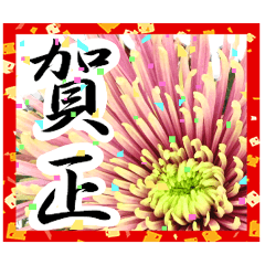 [LINEスタンプ] 新年の挨拶に花を♪Part2