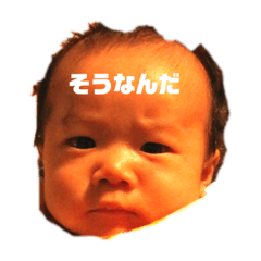 [LINEスタンプ] taiga stamp would