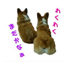 [LINEスタンプ] ごえちゃん一家