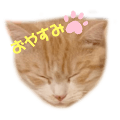[LINEスタンプ] バルル.きなこ.マロン