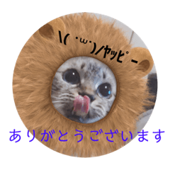 [LINEスタンプ] もちゃ 11 ＆友達