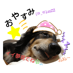[LINEスタンプ] りくタン