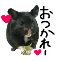[LINEスタンプ] クロクマハムスターおはぎ