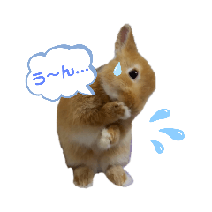 [LINEスタンプ] うたピョン