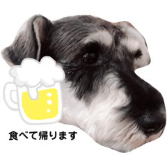 [LINEスタンプ] Mシュナのみこし♂②