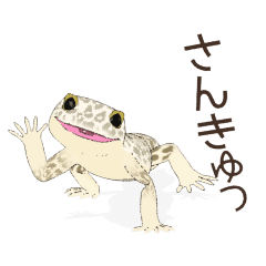 [LINEスタンプ] 大好きなヒョウモントカゲモドキ4