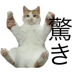 [LINEスタンプ] すもむスタンプ2