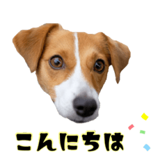 [LINEスタンプ] buono君スタンプ