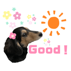 [LINEスタンプ] まるこ16