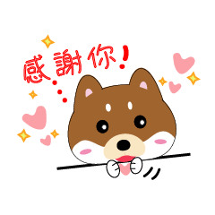 [LINEスタンプ] 柴犬の毎一日