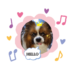 [LINEスタンプ] ワンコ王子シャイちゃん3