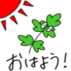 [LINEスタンプ] パクチゃん