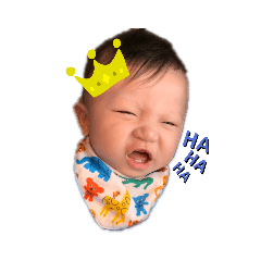[LINEスタンプ] カイのハウス
