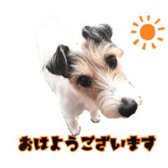 [LINEスタンプ] Nanaの毎日スタンプ