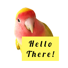 [LINEスタンプ] ビビ、チーズ、ウィキ