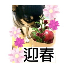 [LINEスタンプ] ひのまる スタンプ  5