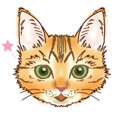 [LINEスタンプ] ねこずすたんぷ2