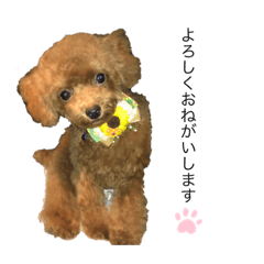 [LINEスタンプ] ときたむぎ