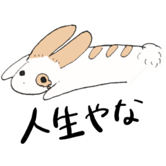 [LINEスタンプ] 研究室に住むうさぎ2