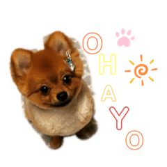 [LINEスタンプ] ぽんぴぃ