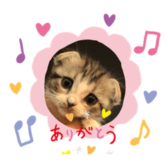 [LINEスタンプ] 蘭丸まる 5