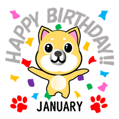 [LINEスタンプ] 柴犬の誕生日おめでとう 1月