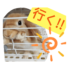 うーさー日和