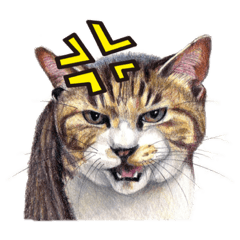 [LINEスタンプ] 犬猫画スタンプ