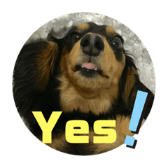 [LINEスタンプ] ちくわスタンプ①