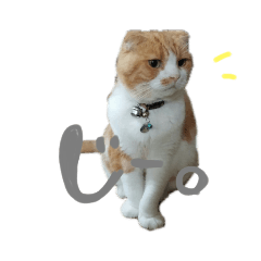 あろちゃま！