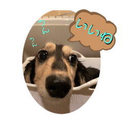 [LINEスタンプ] まるこ17