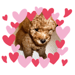[LINEスタンプ] たろすたぷ