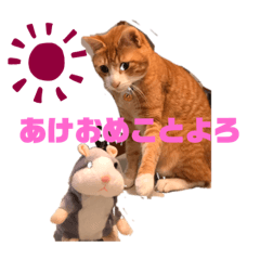 [LINEスタンプ] ワガママでけだるそうな気まぐれ猫ニャース