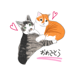 [LINEスタンプ] うちの猫スタンプ（グーとスー）の画像（メイン）