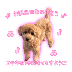 [LINEスタンプ] 我が家のペコくん