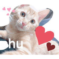 [LINEスタンプ] 茶トラ猫〜アテナちゃんの日常2〜