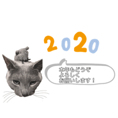 [LINEスタンプ] にゃんこの年末年始あいさつ(丁寧＆ラフ)
