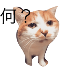 [LINEスタンプ] ナナはずっとそばにいるよ