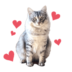 [LINEスタンプ] エアロとぽんず